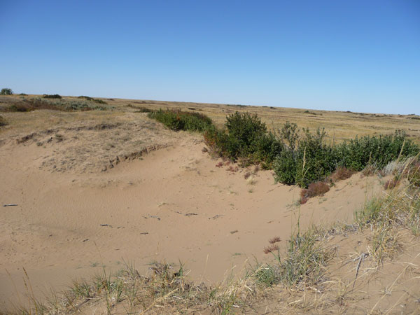 Dunes