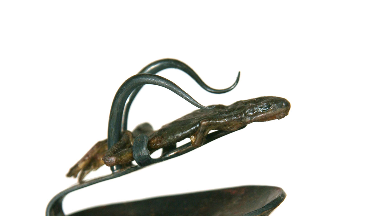 detail of ed