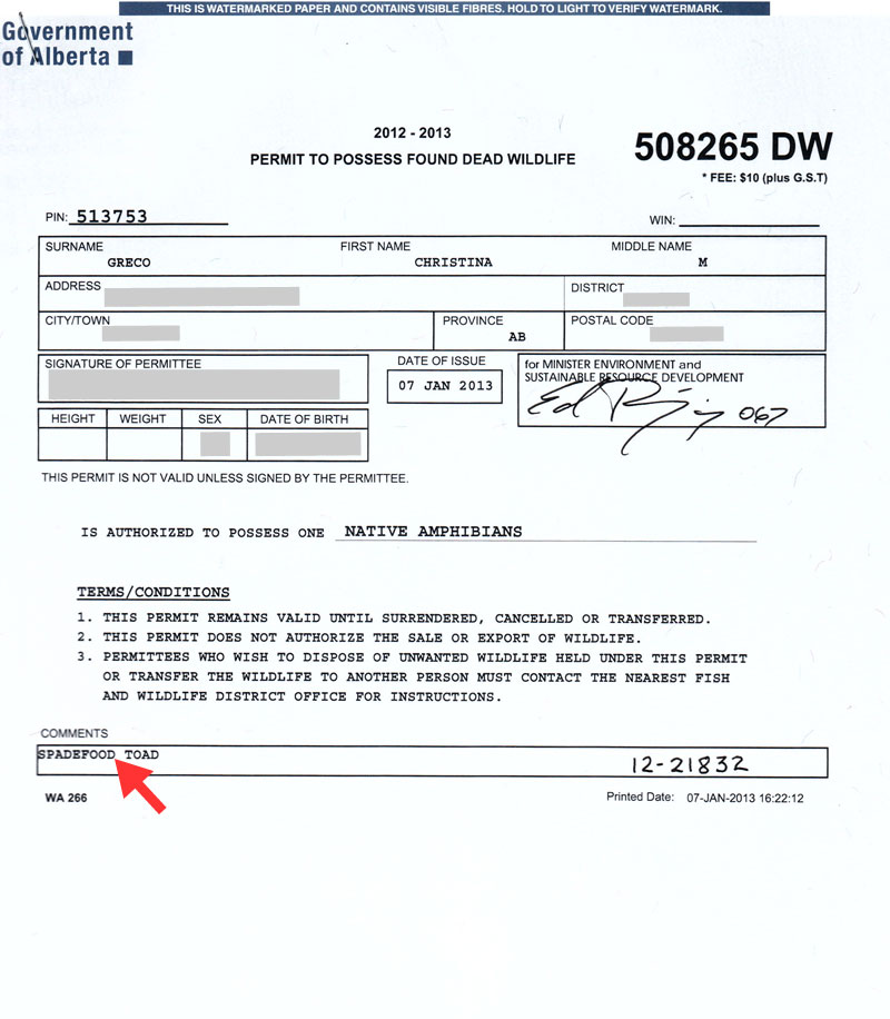 food on permit
